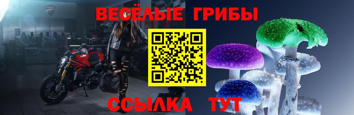 Псилоцибиновые грибы Psilocybe Иваново